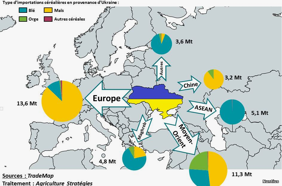 🇪🇺 Agricultural Tensions in the EU: Eastern European Ministers Demand Revision of Ukrainian Import Terms